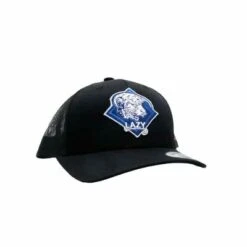 Lazy J Blue Diamond Hereford Cap.