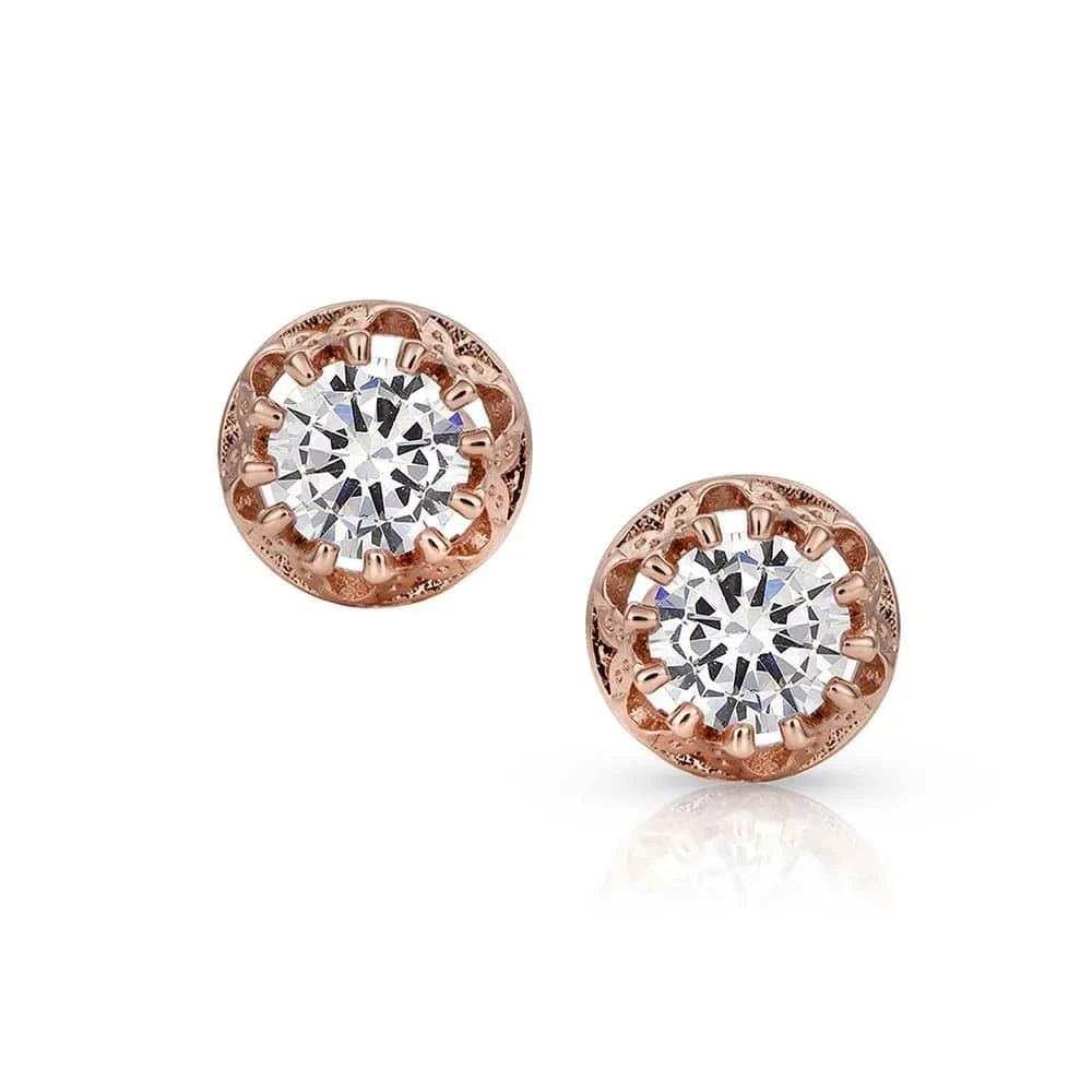 Montana Silversmiths Sunlit Lucky Water Horseshoe Earrings 1 Montana Silversmiths Sunlit Lucky Water Horseshoe Earrings