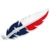 Montana Silversmiths Texas Flag Hat Feather