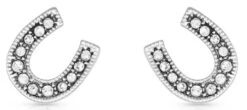 Montana SilversmithsCrystal Clear Stuck On Luck Post Earrings