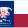 Lazy J TX Flag Elevation Sticker