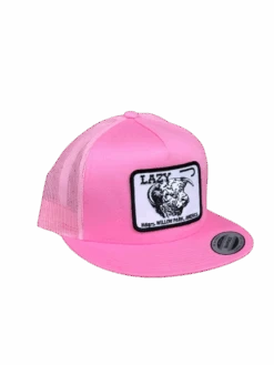 Lazy J Ranch Wear Pink & Pink 4" Cattle Headquarters Cap