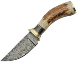 Staghorn Knife